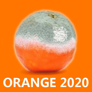 orange 2020.jpg