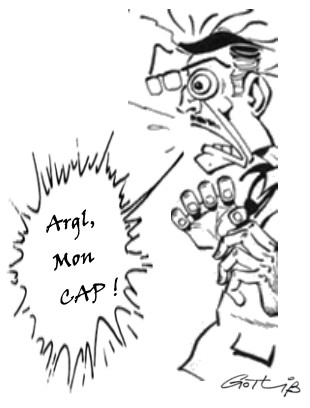 Gotlib mon cap.jpg